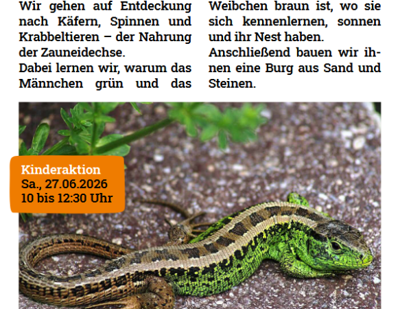 Kinderaktion: Wo wohnt die Zauneidechse? am Samstag, den 27.06.2026 10-12:30&nbsp;Uhr
